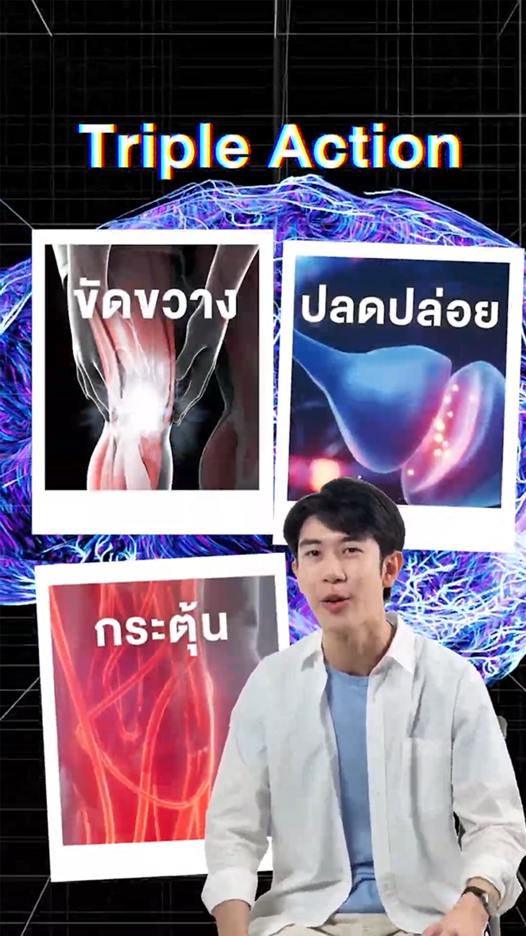 ภาพปกInsert7