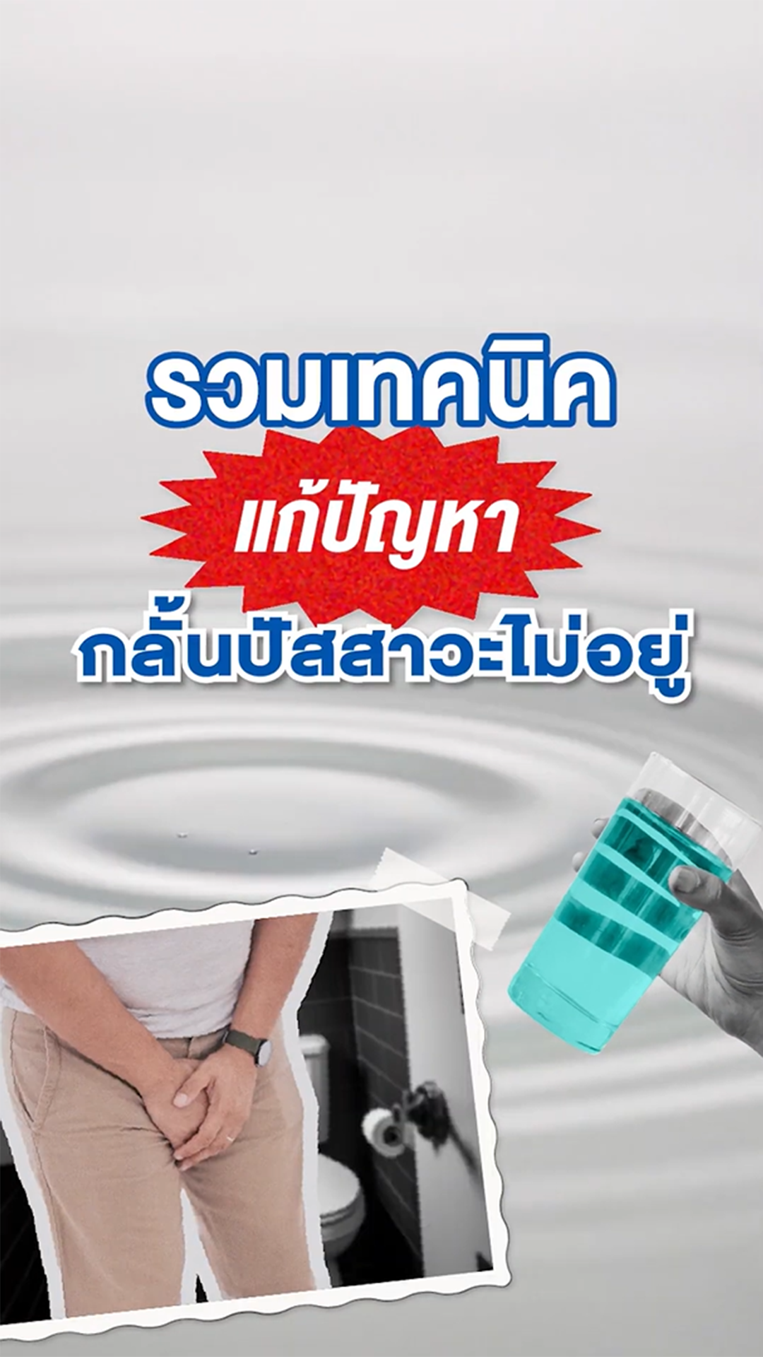 ภาพปกInsert2