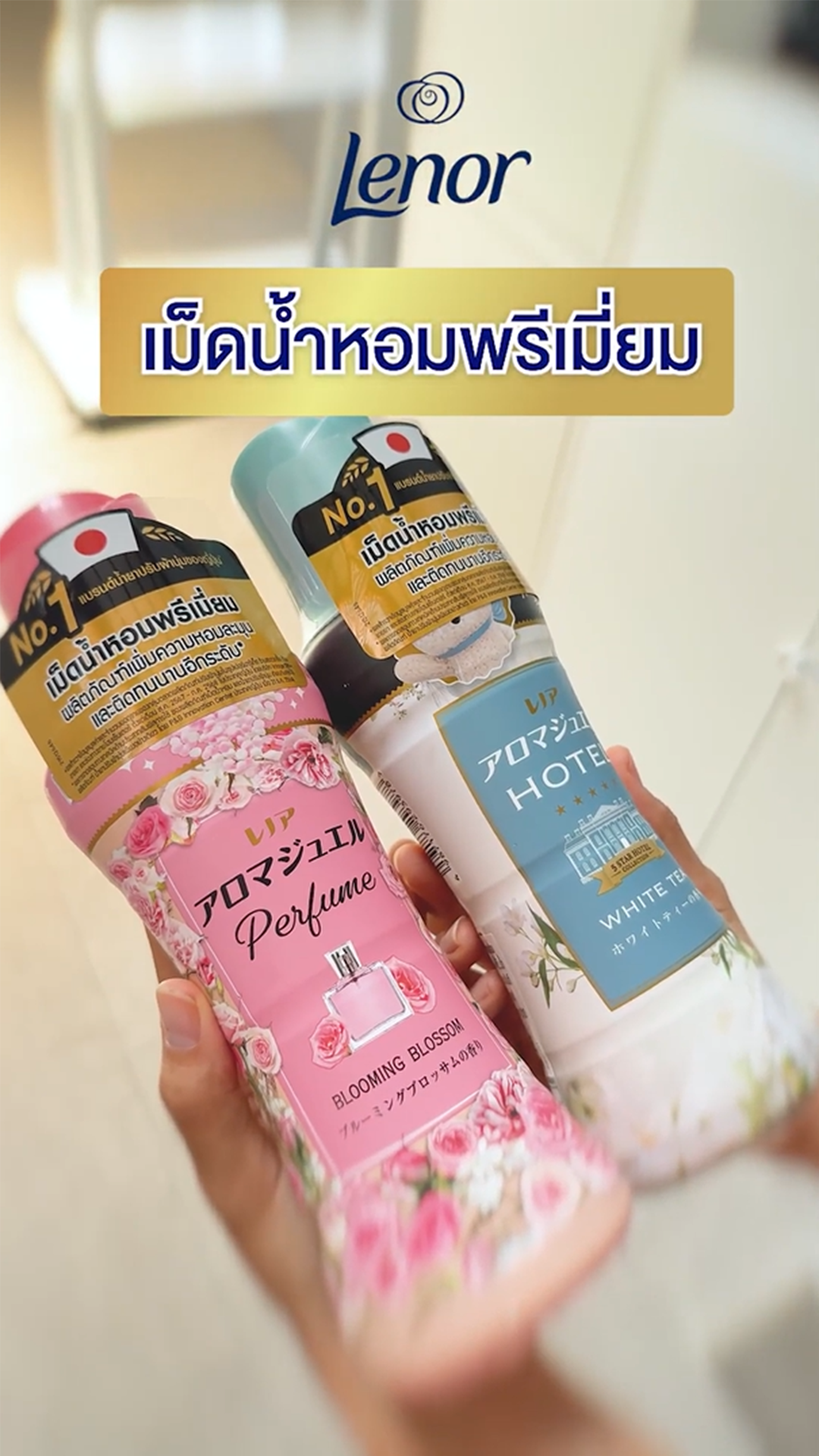 ภาพปกReview7